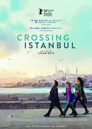 Crossing Istanbul