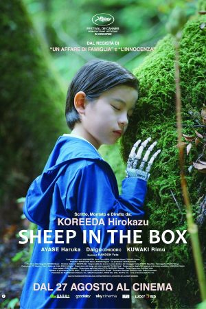 Sheep in the box